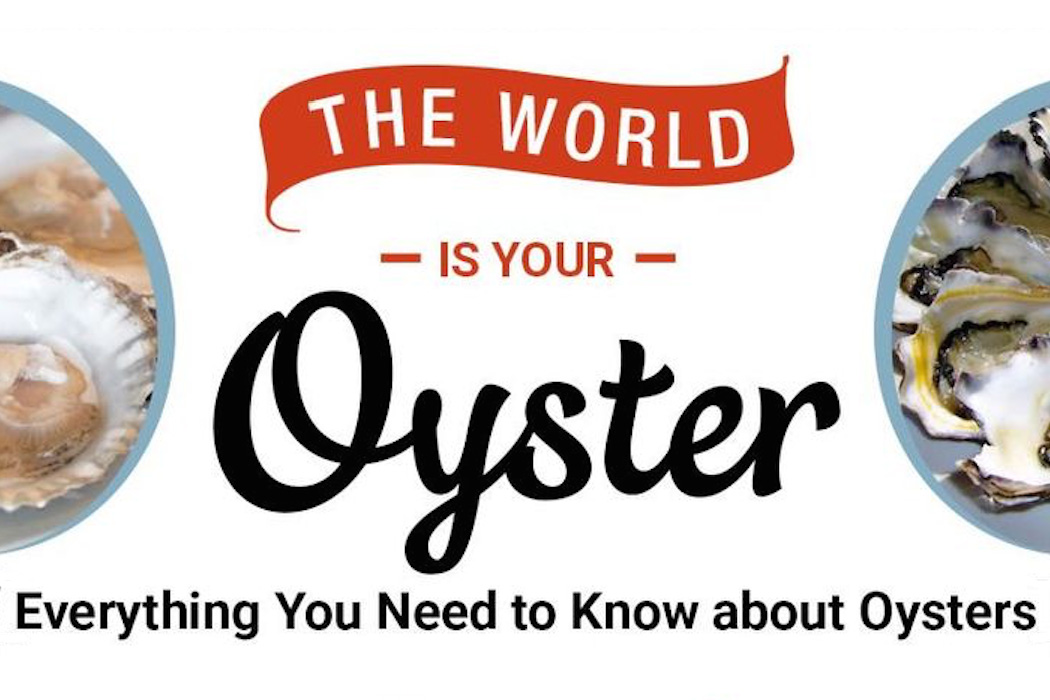 Everything You Need to Know about Oysters
